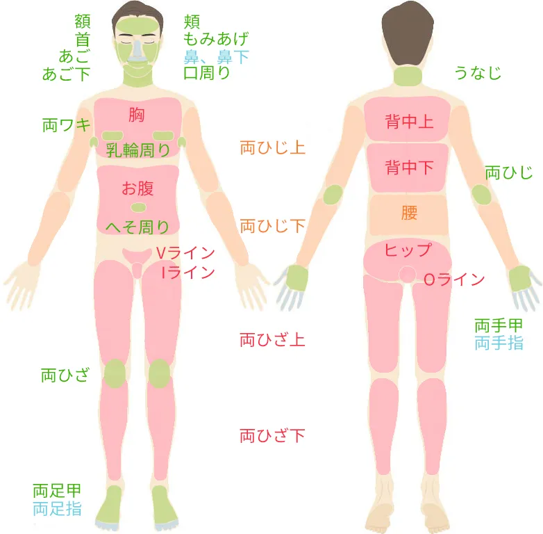 SS/S/M/Lパーツ脱毛 施術パーツ